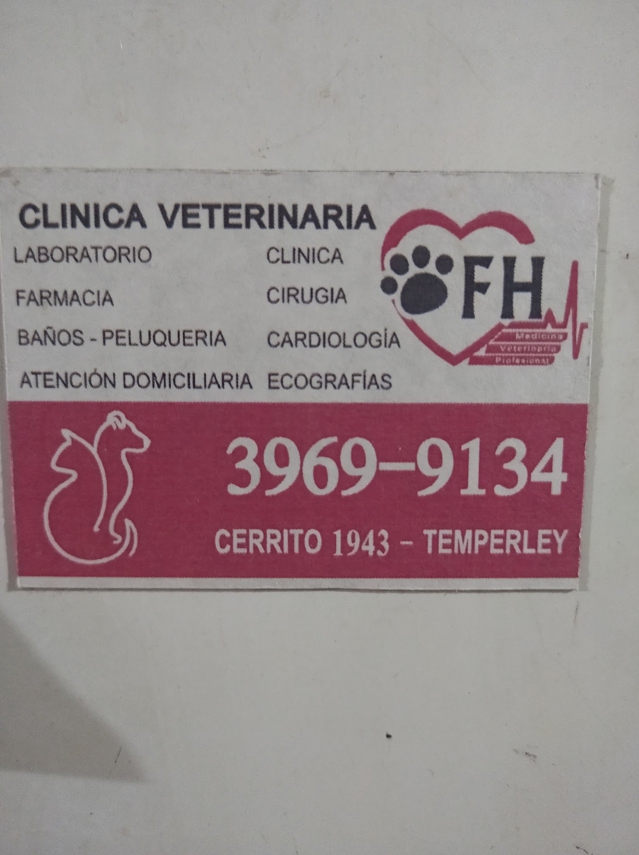 Identidad de marca del Centro Veterinario Fabiana Haas